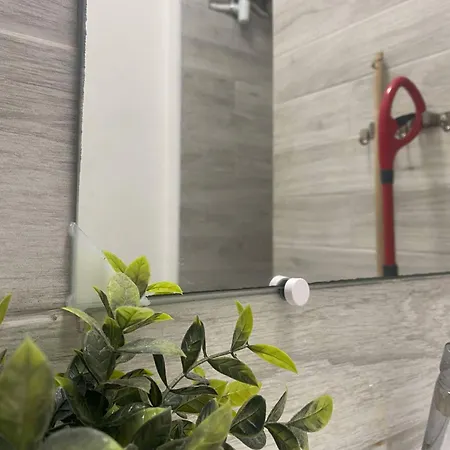 Joli T2 Refait à Neuf, Lumineux Et Accessible *